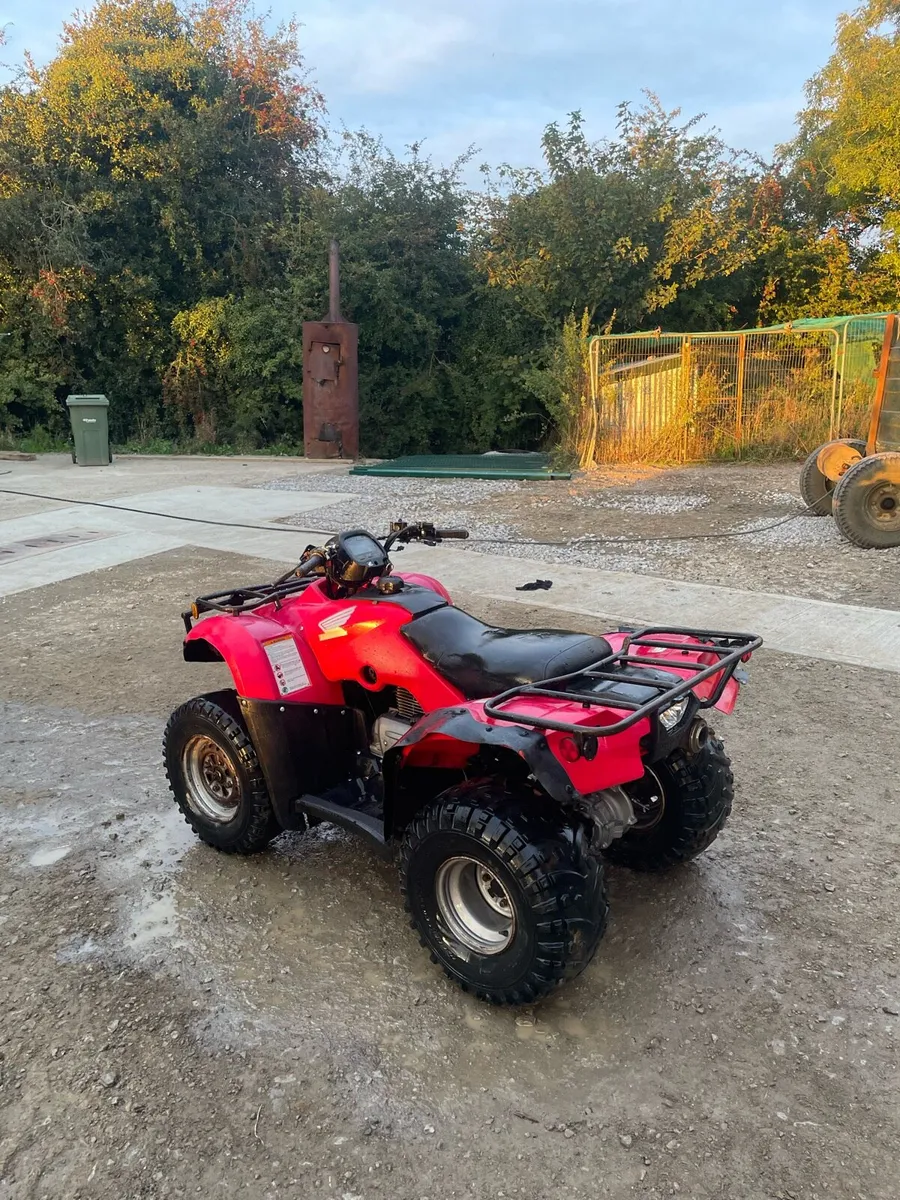 Honda Trx 250 - Image 3