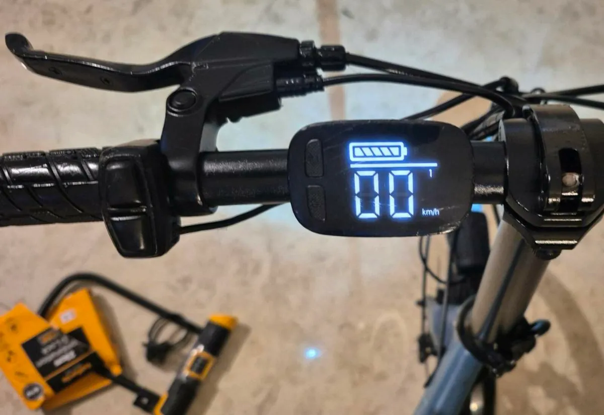 Adults  Fiido D11 electric bike 
250 W powerful mo - Image 2