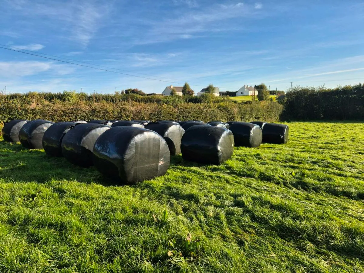 Silage Bales - Image 1
