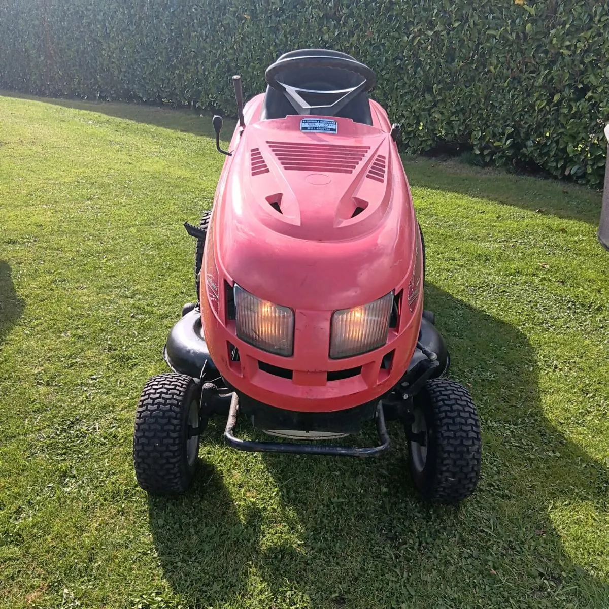 Castlegarden Briggs engine - Image 2