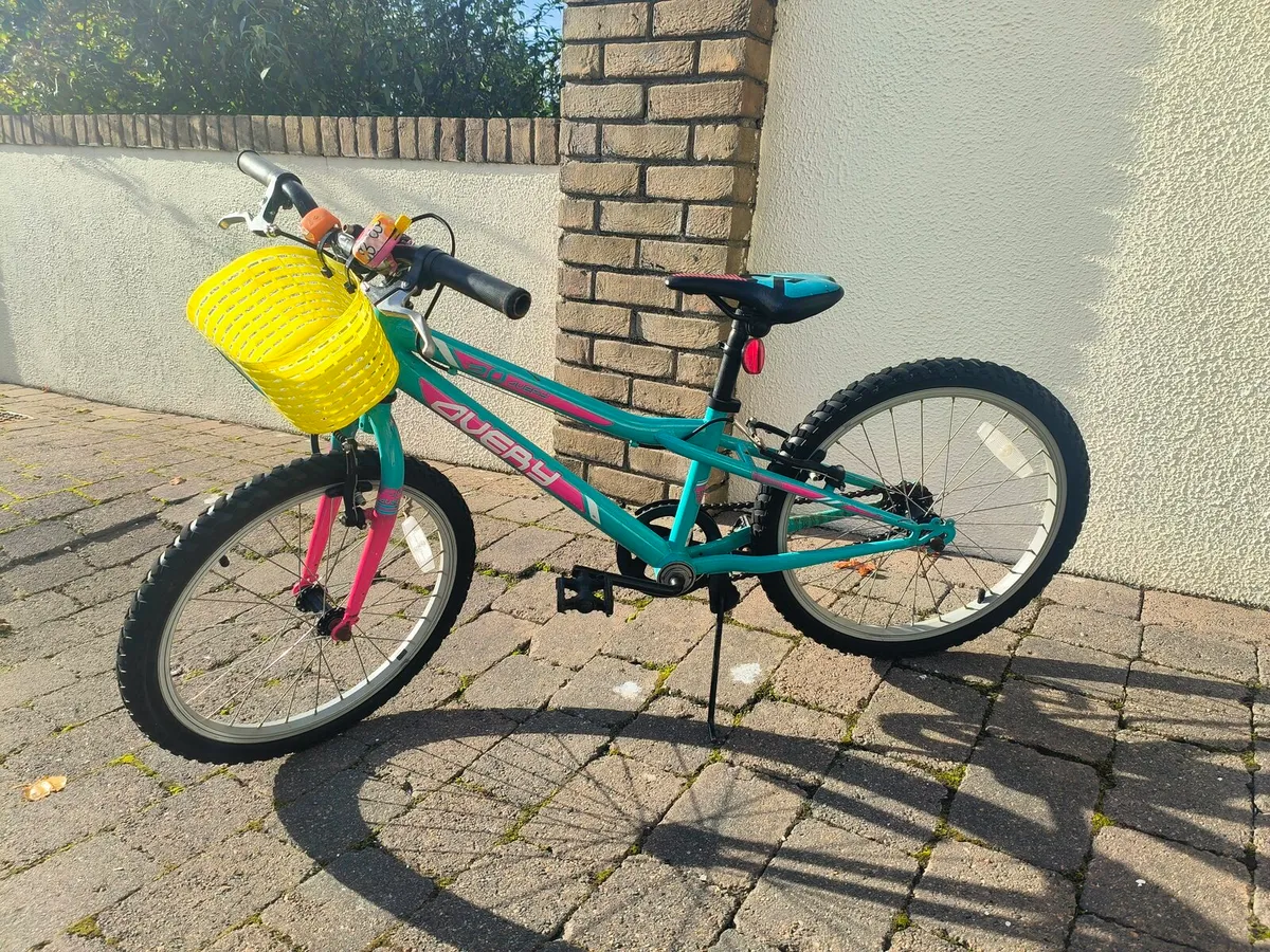 Girls 20 inch bike