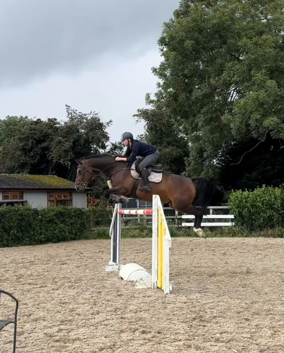YR/AMATEUR 135 jumper - Image 1