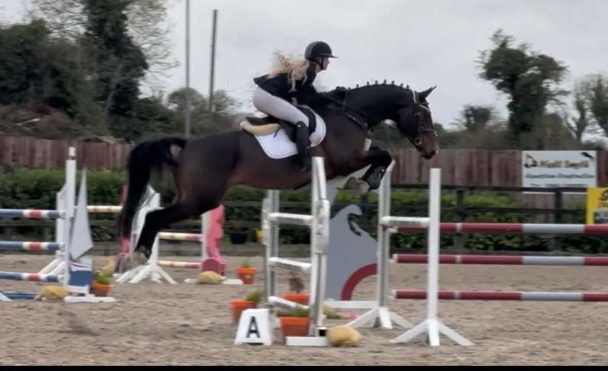 YR/AMATEUR 135 jumper - Image 2