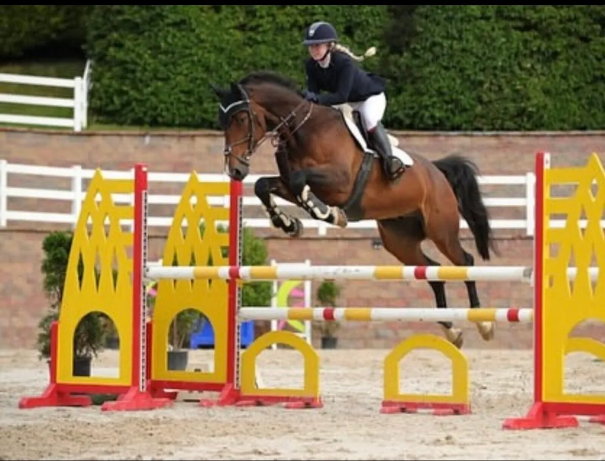YR/AMATEUR 135 jumper - Image 3