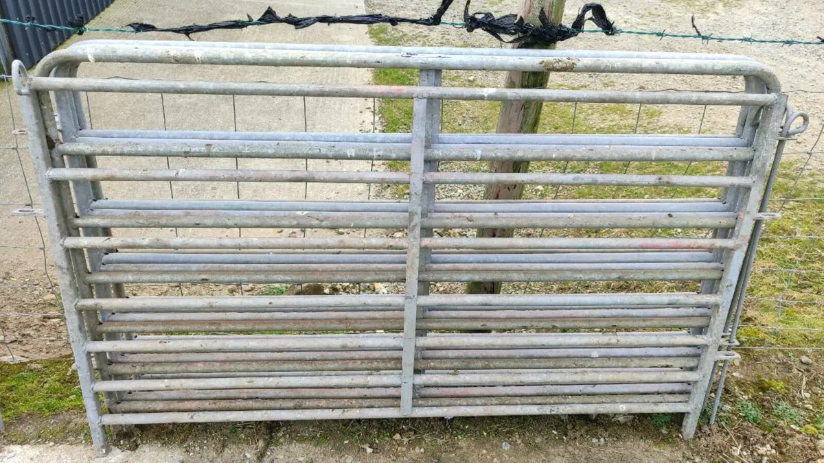 5ft Sheep Hurdles (x20) - Image 1