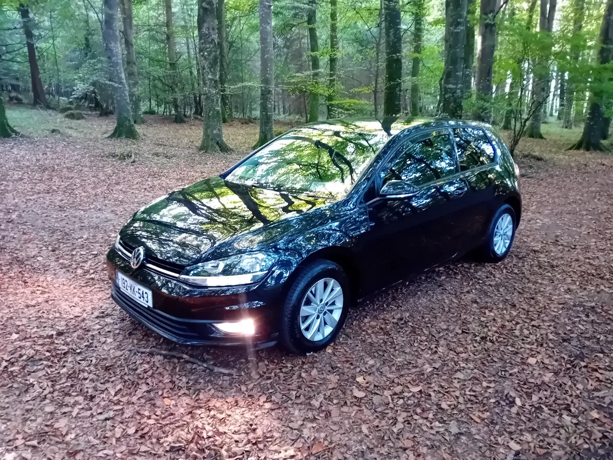 192 VW GOLF  1.6 TDI 115 BHP VAN MANUAL - Image 1