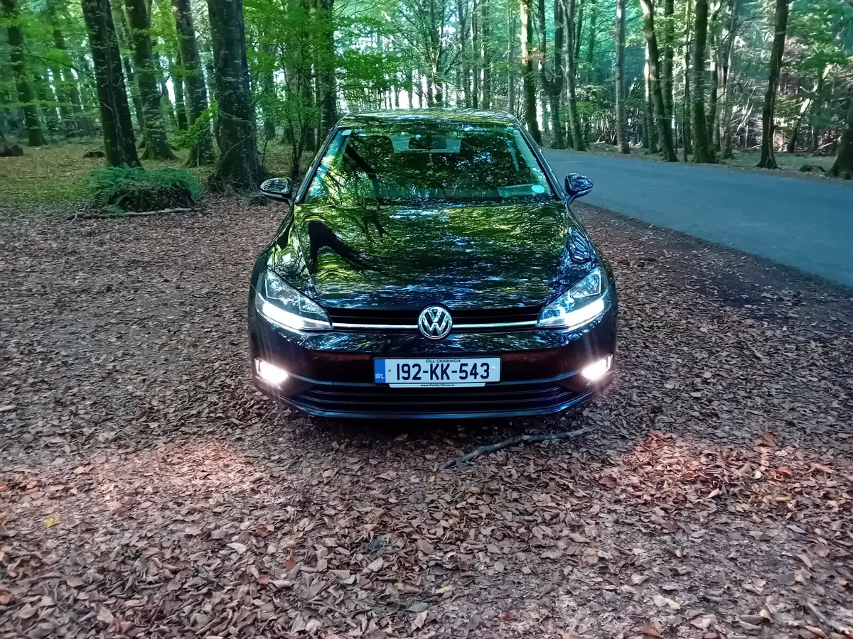 192 VW GOLF  1.6 TDI 115 BHP VAN MANUAL - Image 2