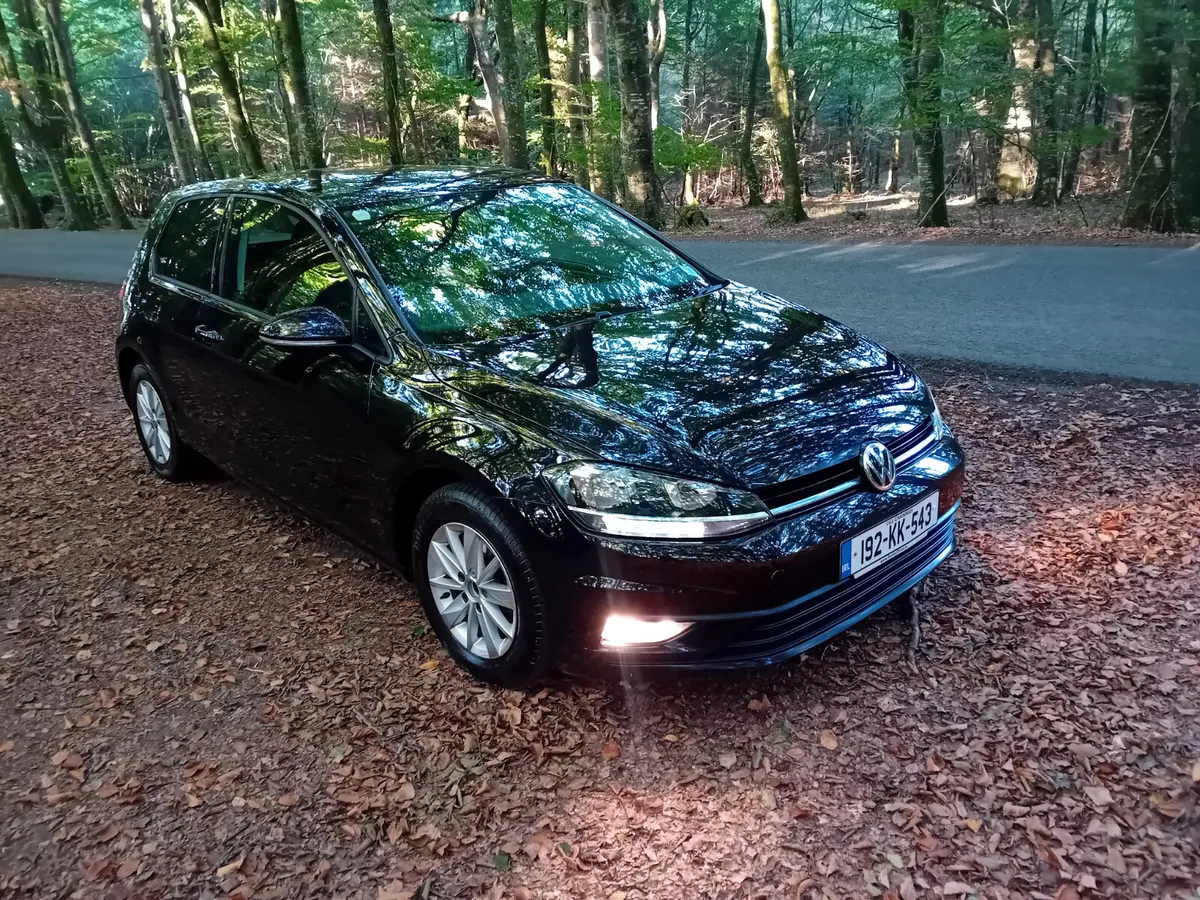 192 VW GOLF  1.6 TDI 115 BHP VAN MANUAL - Image 3