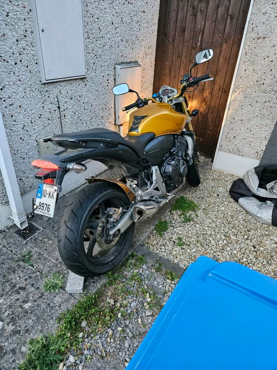 Honda Hornet 600 - Image 3
