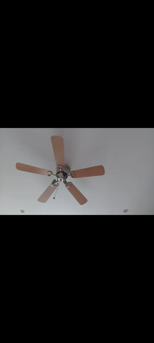 Ceiling Fan, 3 down lights and ceiling light - Image 1