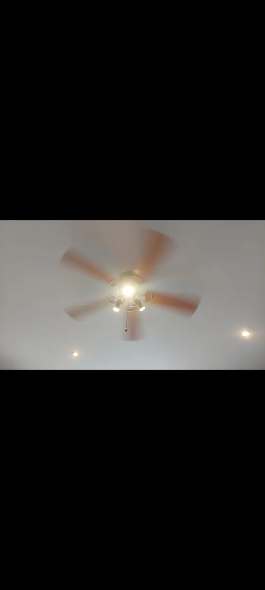 Ceiling Fan, 3 down lights and ceiling light - Image 2