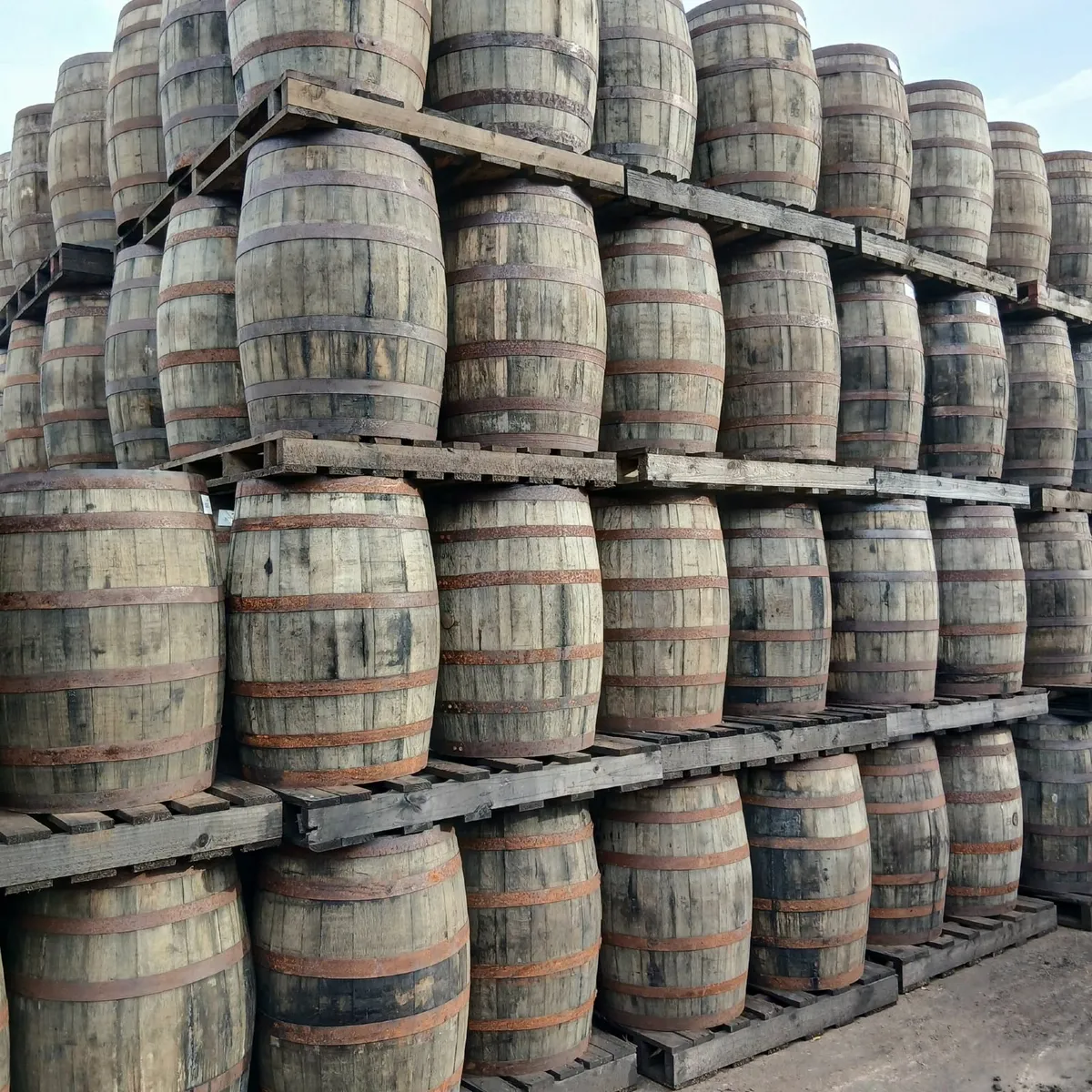 WHISKEY BARRELS FOR SALE - Image 2