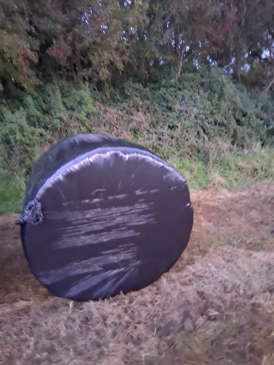 Silage bales - Image 1