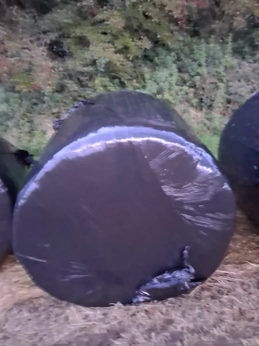 Silage bales - Image 2