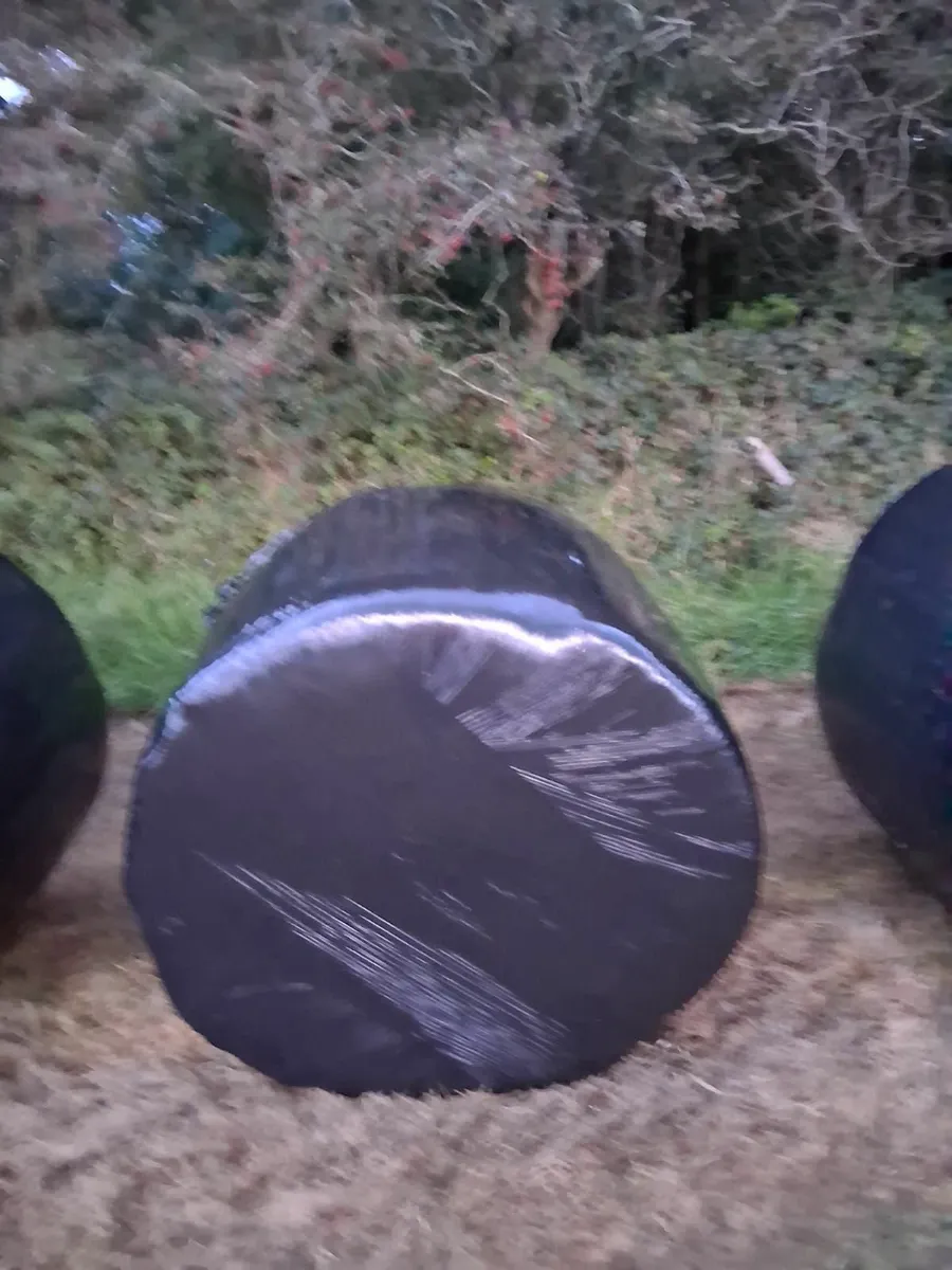 Silage bales - Image 3