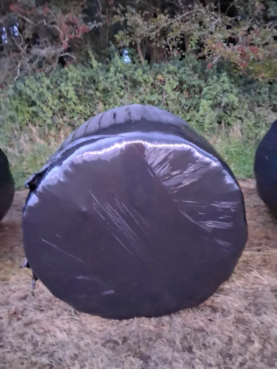 Silage bales - Image 4