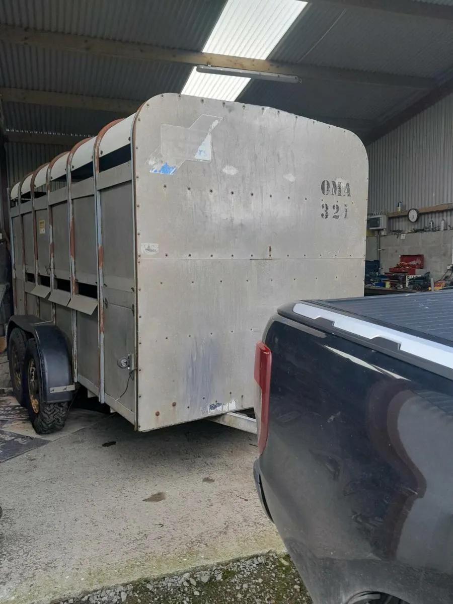 Ifor  williams cattle trailer 12by6 cal 0868782672 - Image 1