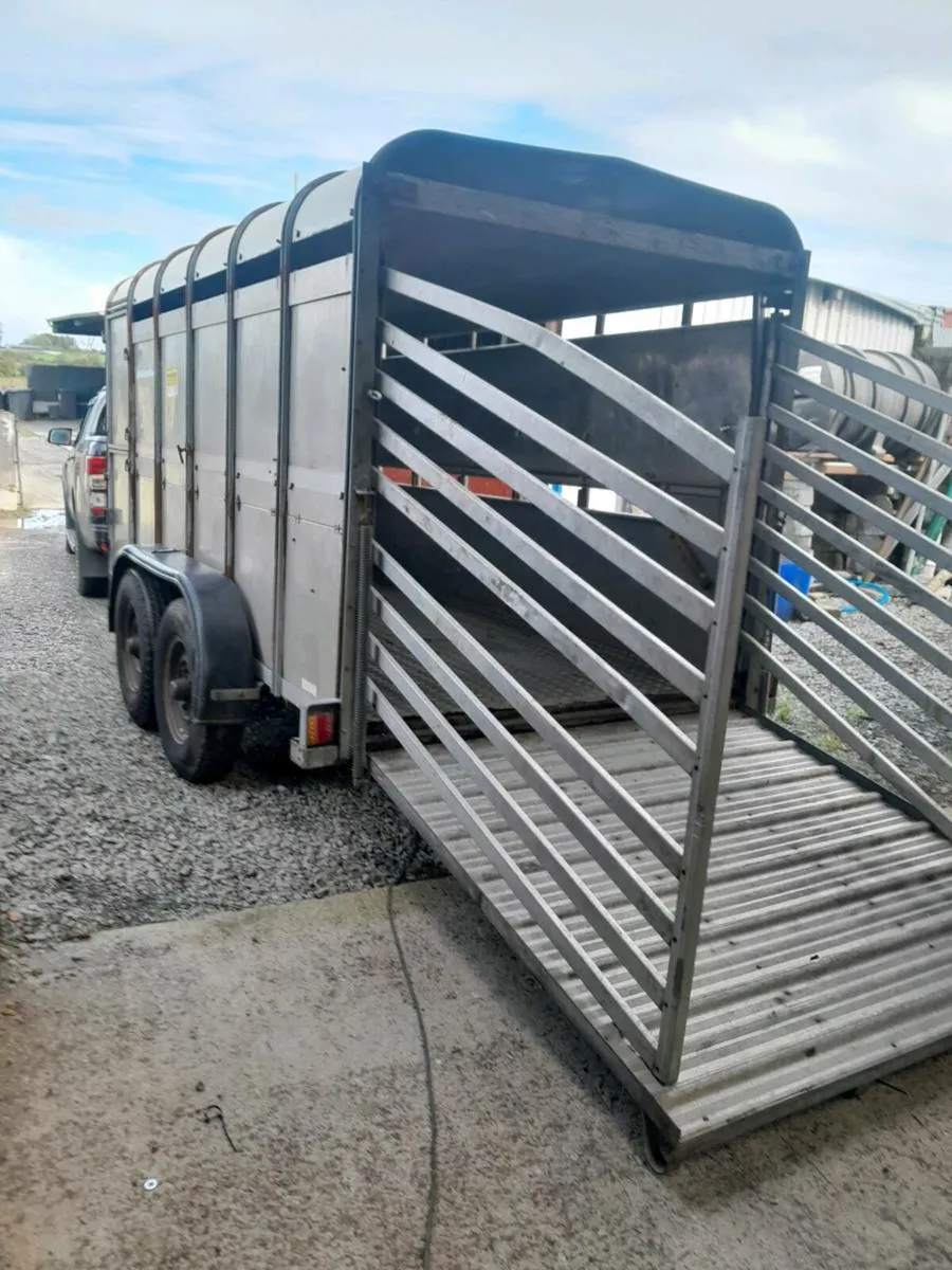 Ifor  williams cattle trailer 12by6 cal 0868782672 - Image 3