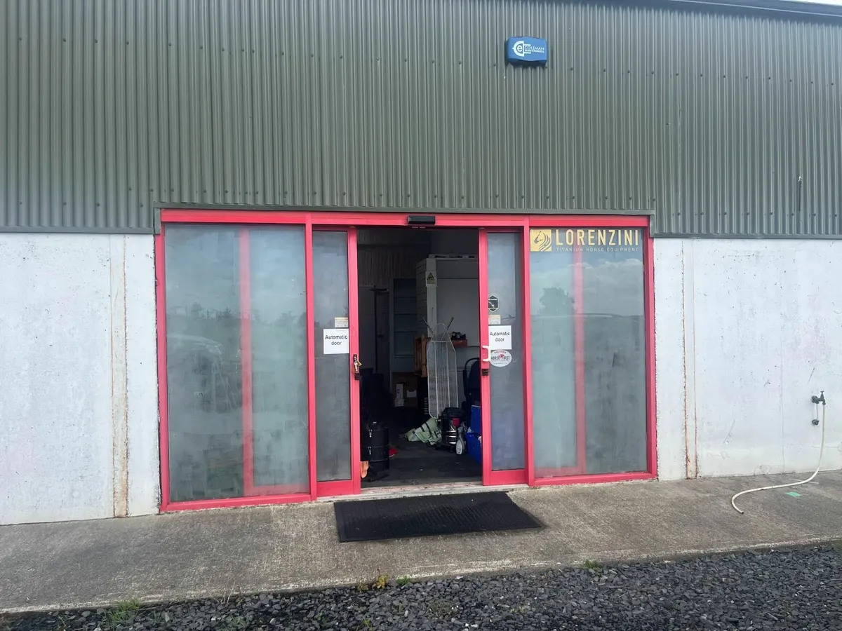 Automatic Door - Image 1