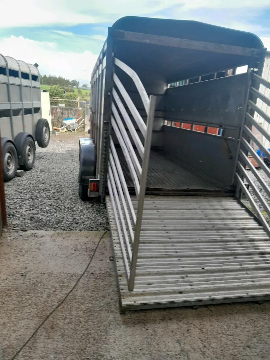 Ifor  williams cattle trailer 12by6 cal 0868782672 - Image 4