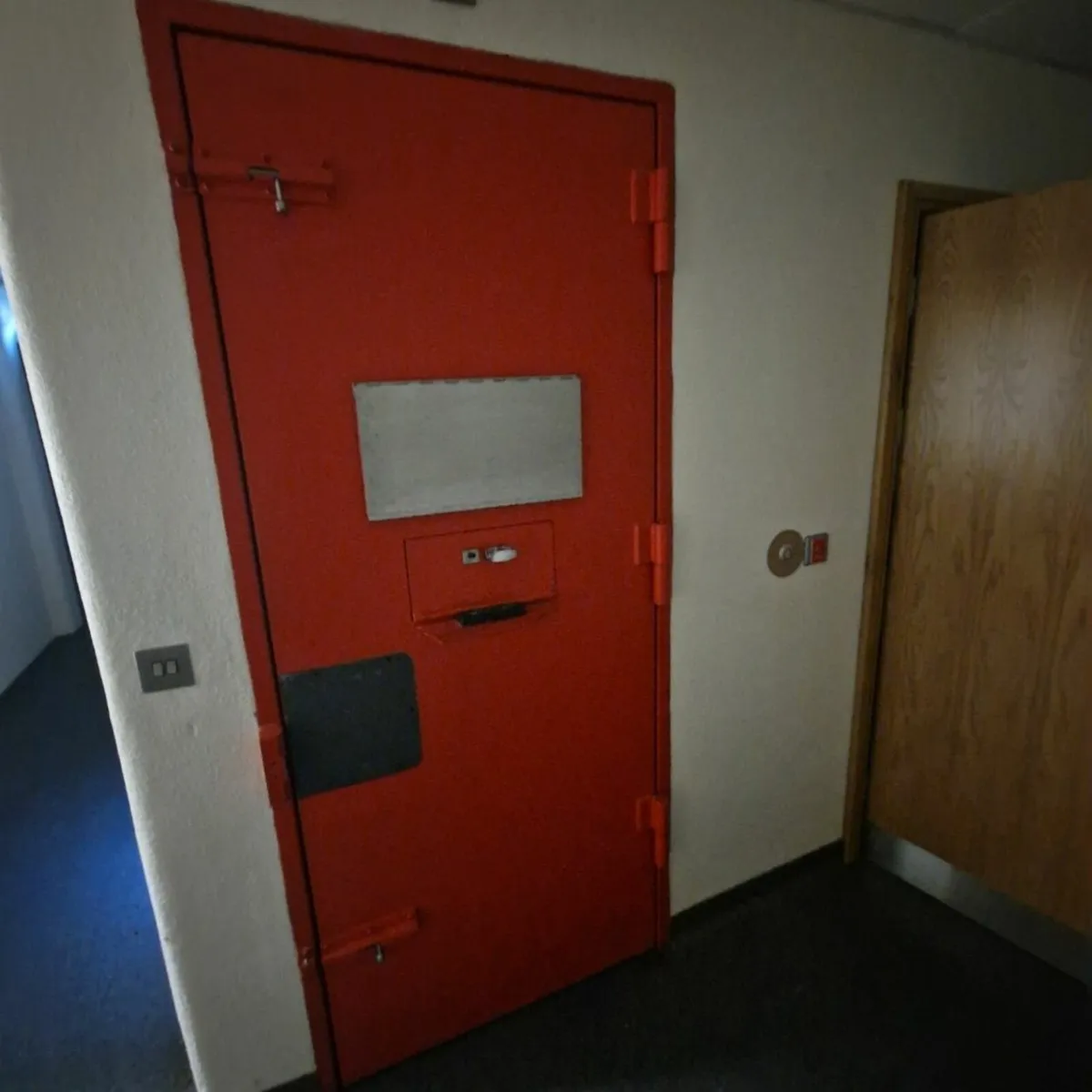 security doors - Image 3