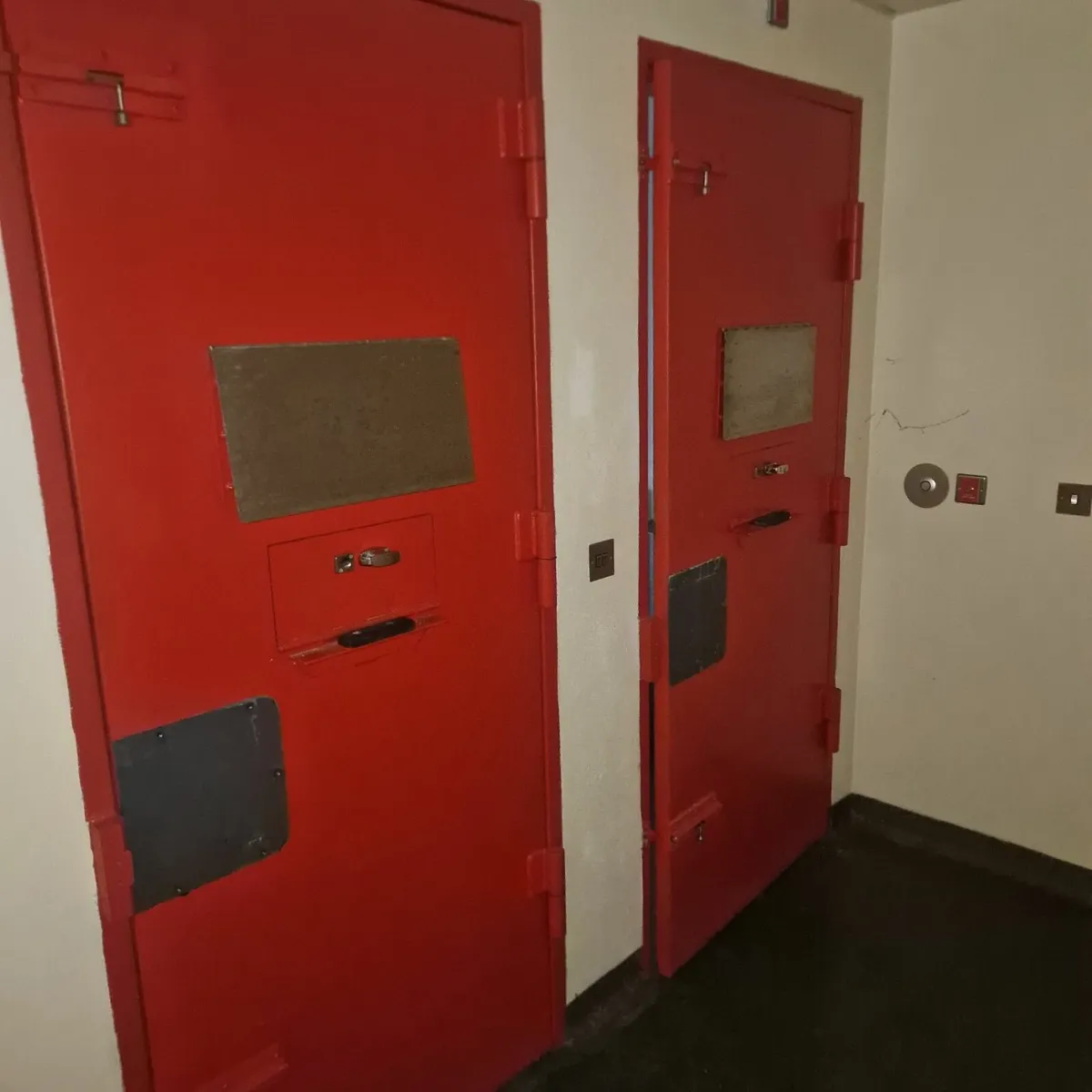 security doors - Image 1