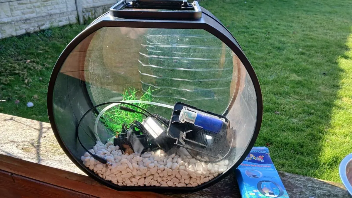 Fish tank - Image 1