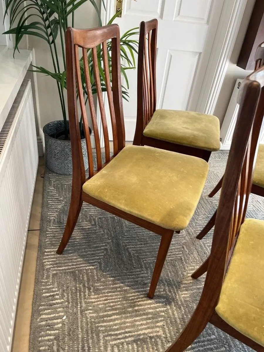g plan mid century dining chairs - Image 3