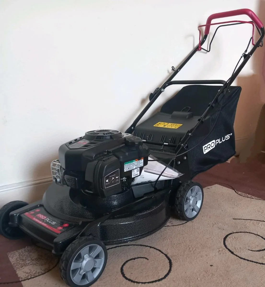 Alloy new selfpropelled mower 22 inch briggs - Image 3