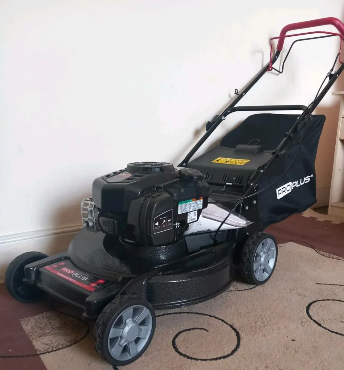 Alloy new selfpropelled mower 22 inch briggs - Image 1