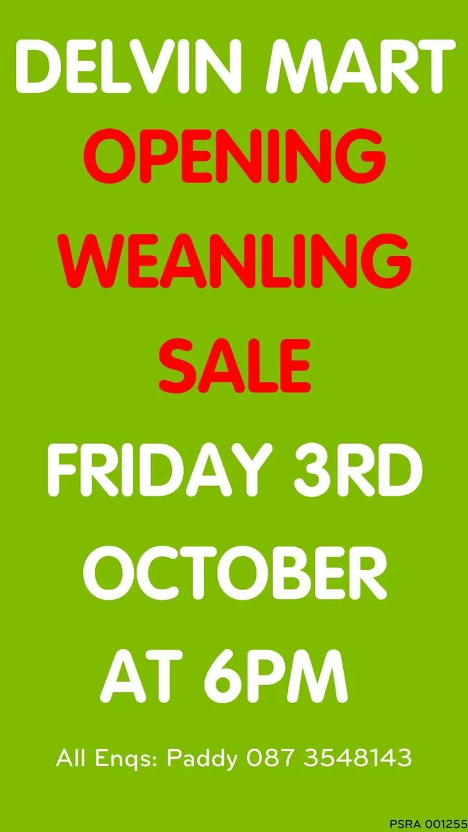 OPENING WEANLING SALE - Image 1