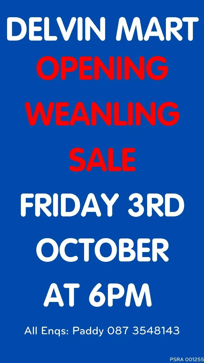 OPENING WEANLING SALE - Image 2