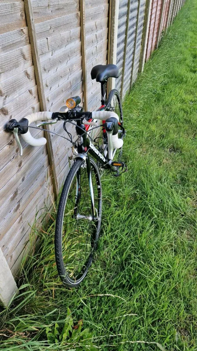 Bianche Nirone 7 - Image 2