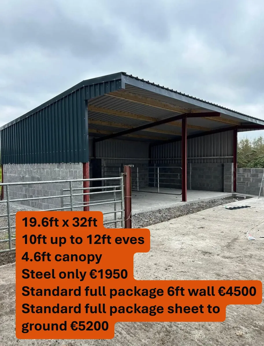 Shed Rsj Kit 20ftx32ft - Image 2