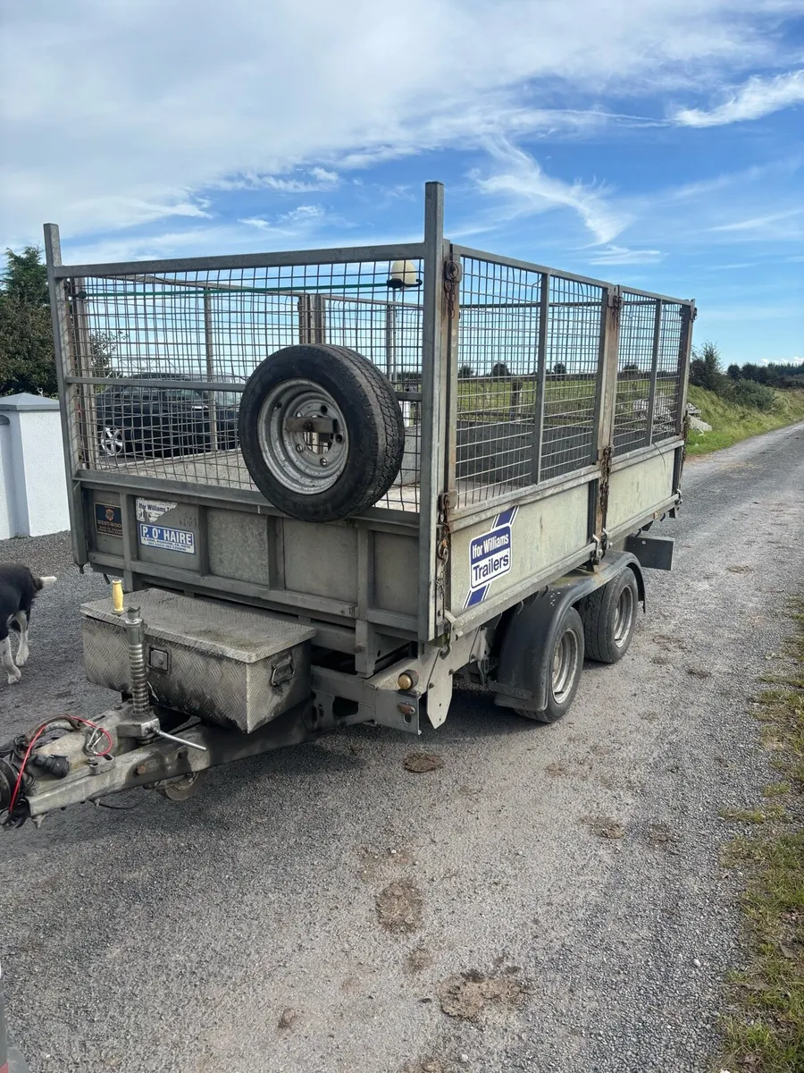 Ifor Williams tipper - Image 2
