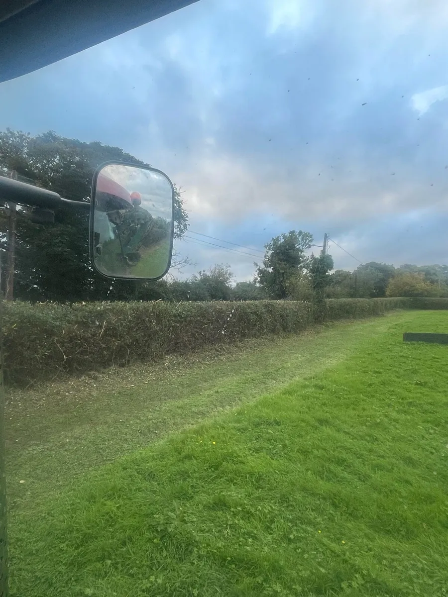 Hedge cutting - Image 1