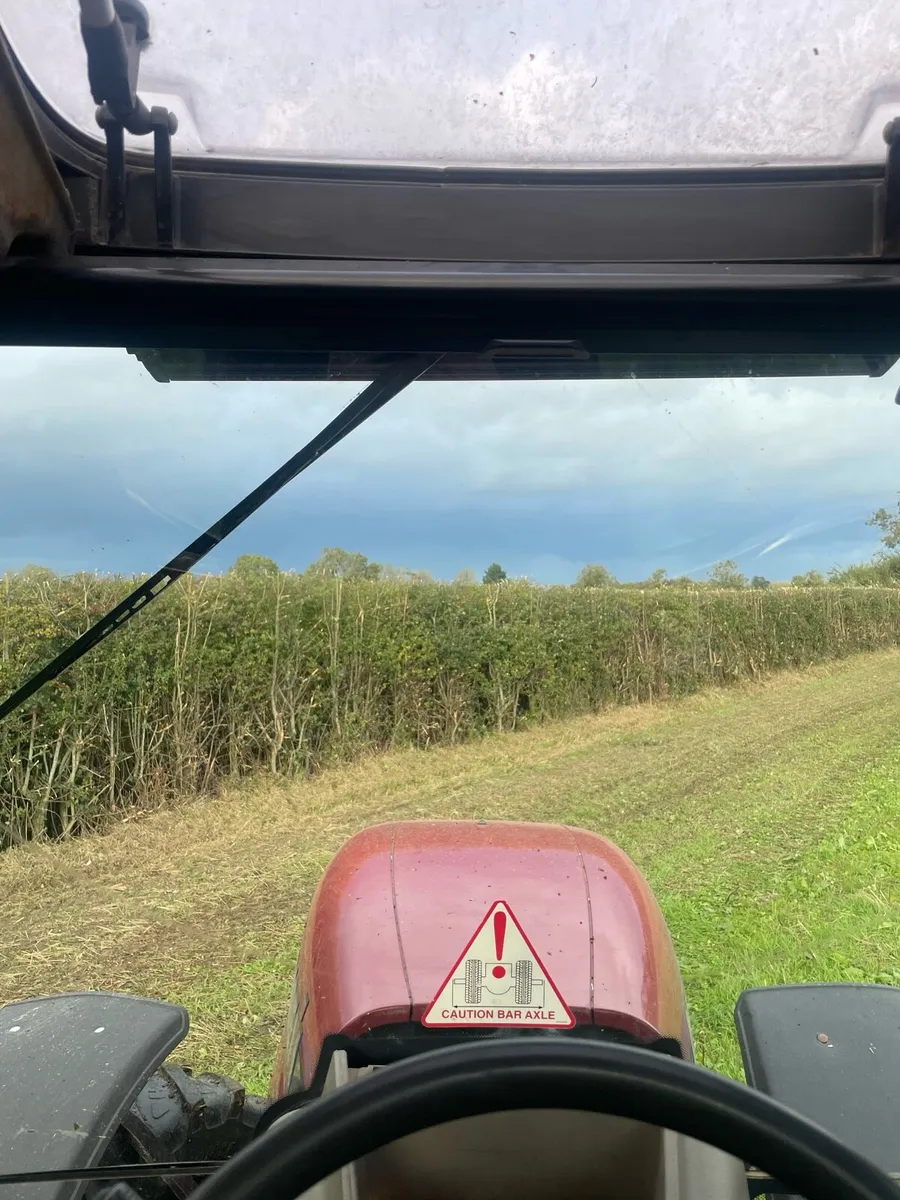 Hedge cutting - Image 2