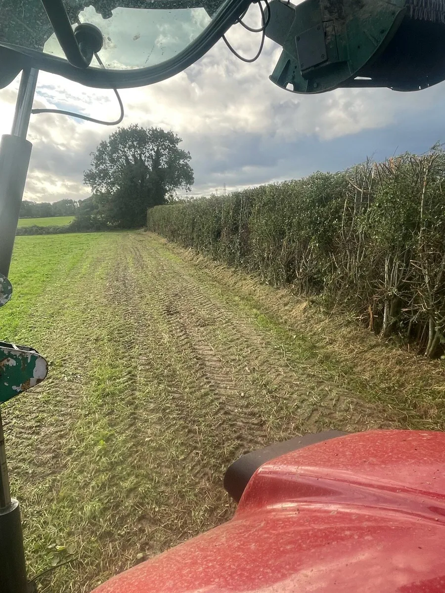 Hedge cutting - Image 3