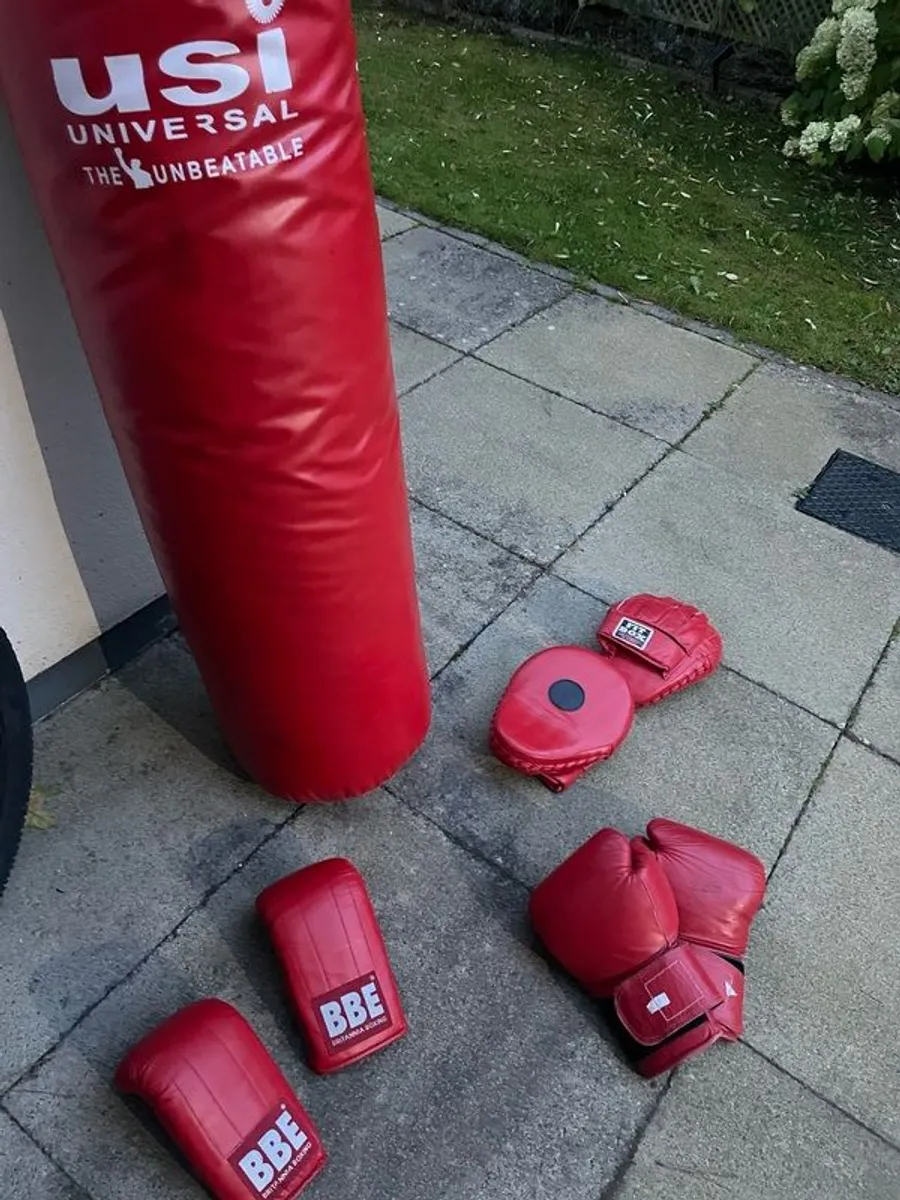 boxing bag - 4ft professional USI - Image 1