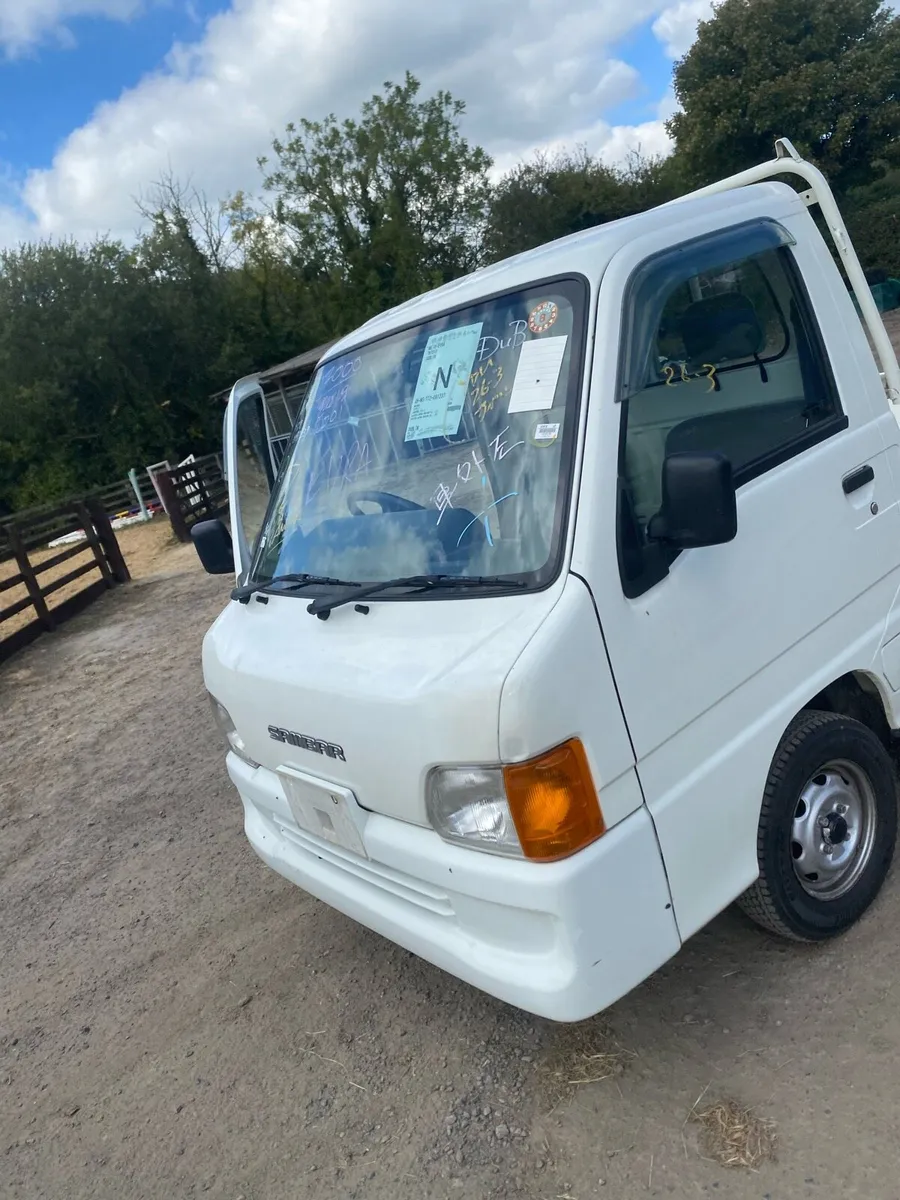 Subaru sambar - Image 2
