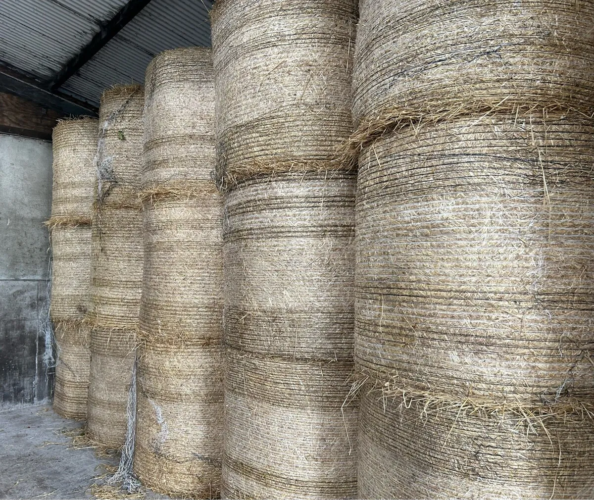 Barley straw - Image 1