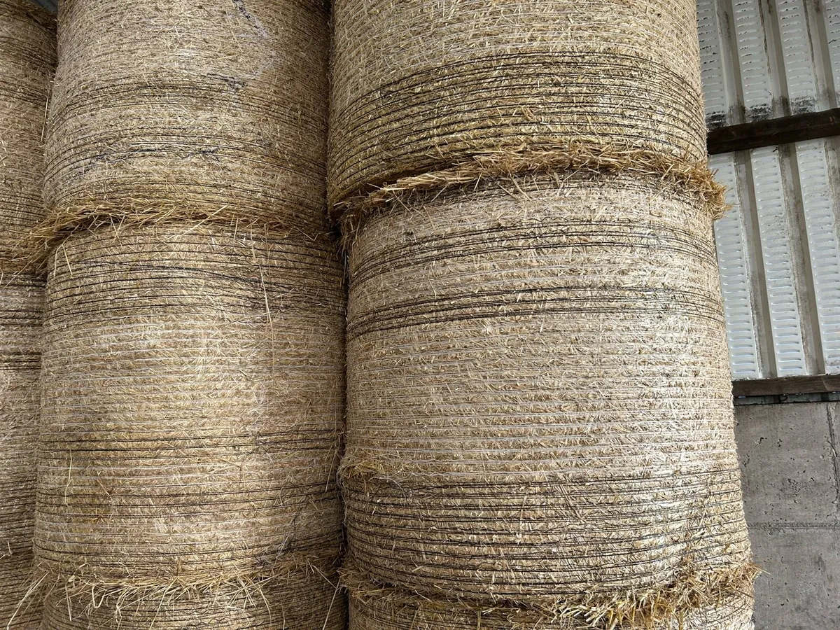 Barley straw - Image 2