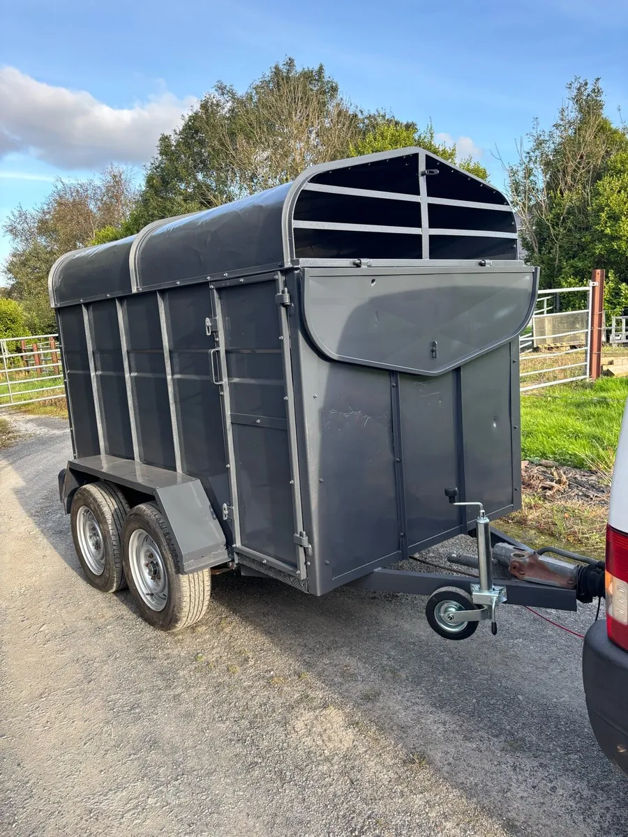 8x4”6 cattle box - Image 1