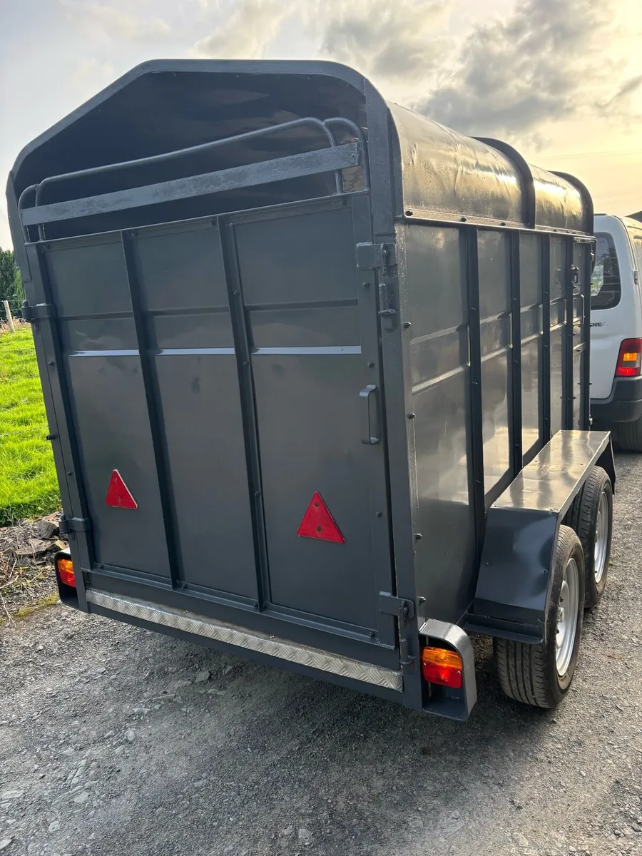 8x4”6 cattle box - Image 2