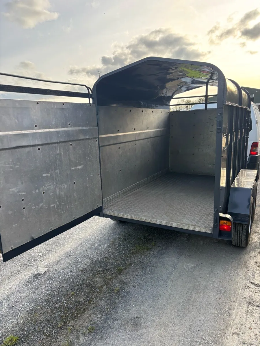 8x4”6 cattle box - Image 3