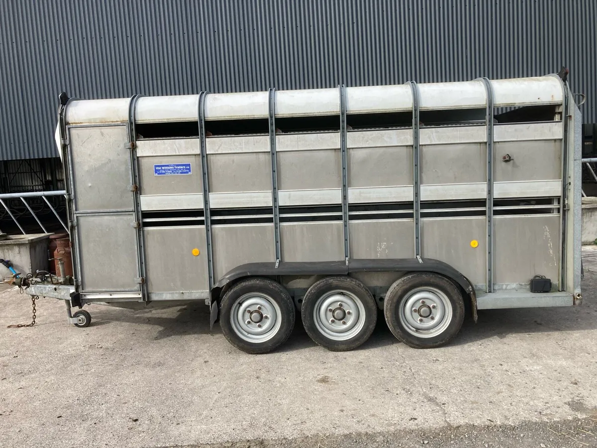 Ifor Williams Triaxle 14x6 Cattle Trailer - Image 1