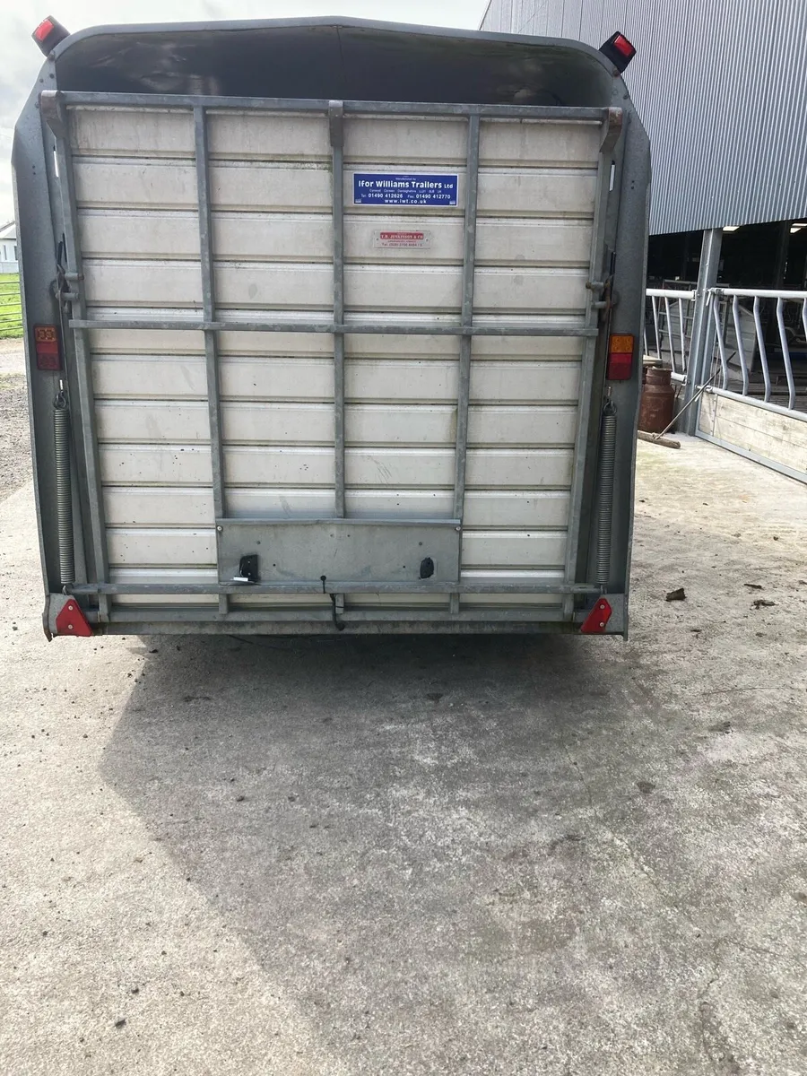 Ifor Williams Triaxle 14x6 Cattle Trailer - Image 2