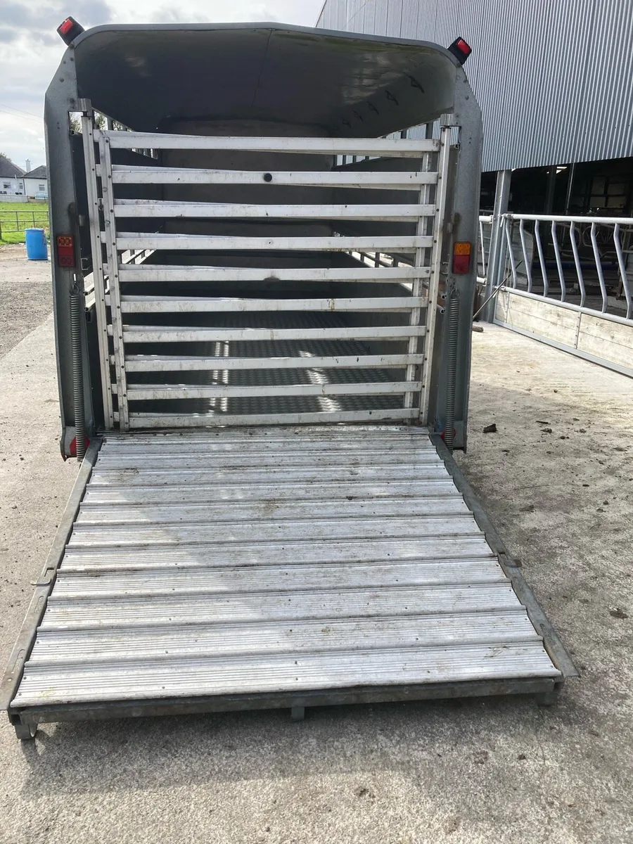 Ifor Williams Triaxle 14x6 Cattle Trailer - Image 4