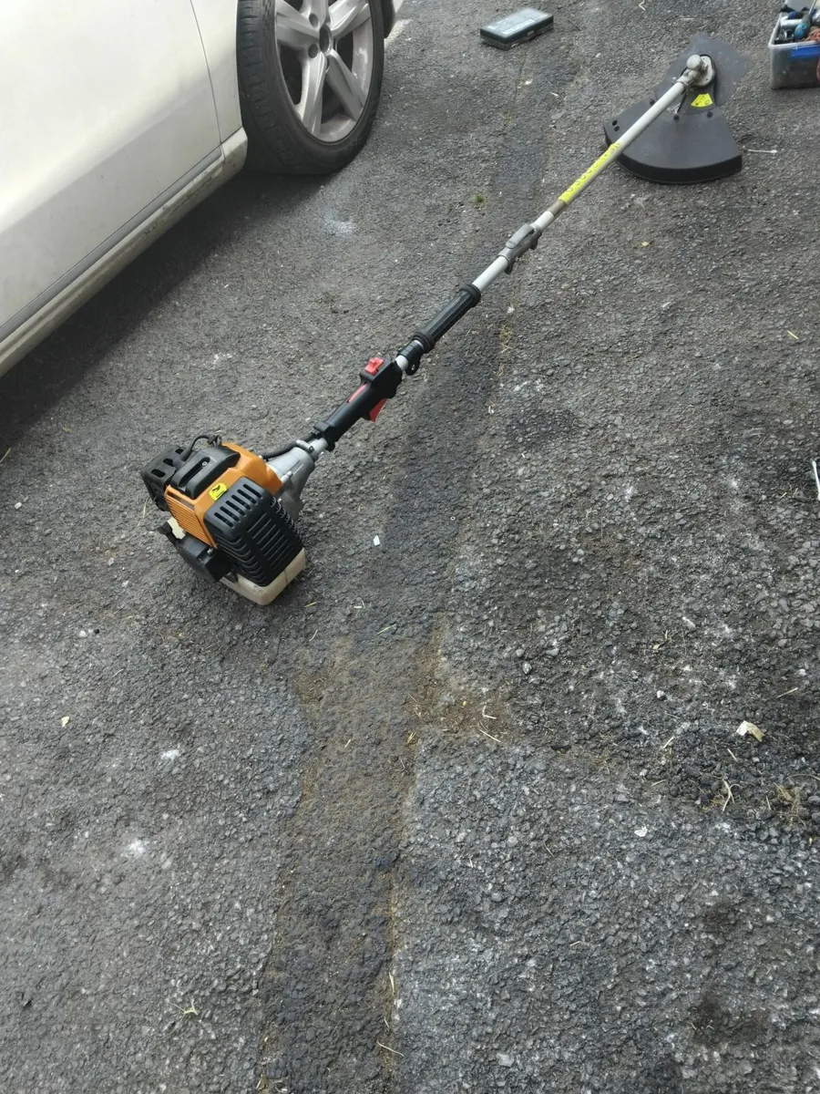 Big grass strummers running very well priced - Image 2
