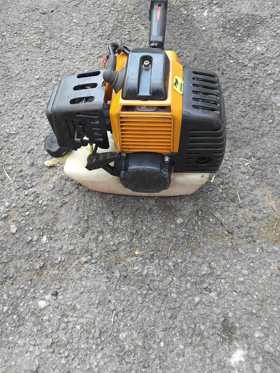 Big grass strummers running very well priced - Image 3
